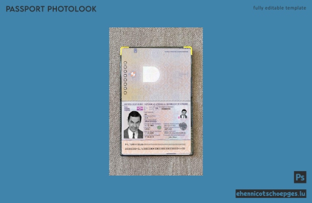 Beispielansicht eines Passfotos für Litauen